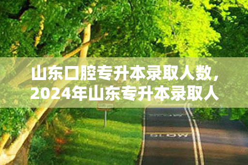 山东口腔专升本录取人数，2024年山东专升本录取人数