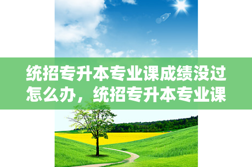 统招专升本专业课成绩没过怎么办，统招专升本专业课多少分