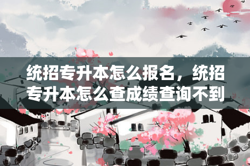 统招专升本怎么报名，统招专升本怎么查成绩查询不到