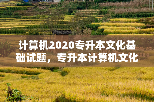 计算机2020专升本文化基础试题，专升本计算机文化基础考什么