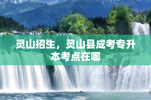 灵山招生，灵山县成考专升本考点在哪