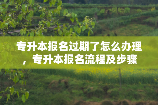 专升本报名过期了怎么办理，专升本报名流程及步骤