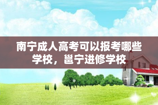 南宁成人高考可以报考哪些学校，邕宁进修学校