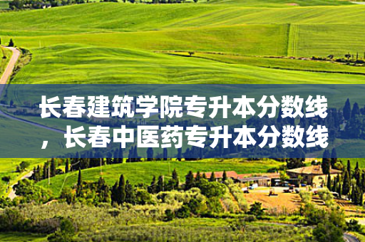 长春建筑学院专升本分数线，长春中医药专升本分数线是多少