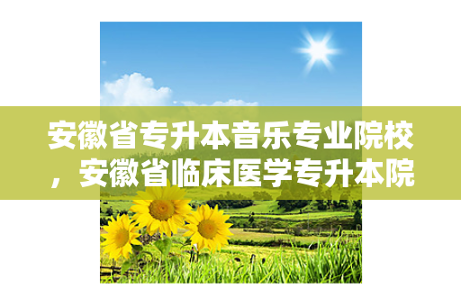 安徽省专升本音乐专业院校，安徽省临床医学专升本院校有哪些