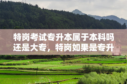 特岗考试专升本属于本科吗还是大专，特岗如果是专升本学制填几年