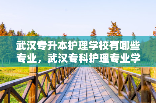 武汉专升本护理学校有哪些专业，武汉专科护理专业学校