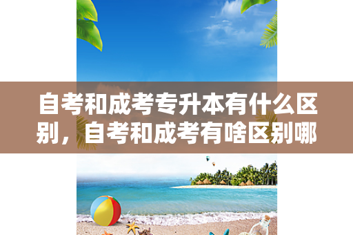 自考和成考专升本有什么区别，自考和成考有啥区别哪个含金量高
