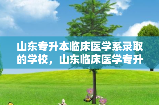 山东专升本临床医学系录取的学校，山东临床医学专升本