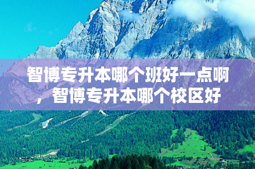 智博专升本哪个班好一点啊，智博专升本哪个校区好