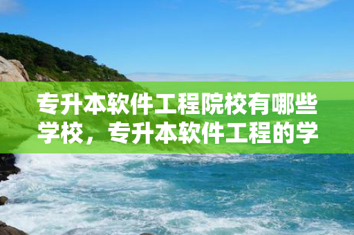 专升本软件工程院校有哪些学校，专升本软件工程的学校