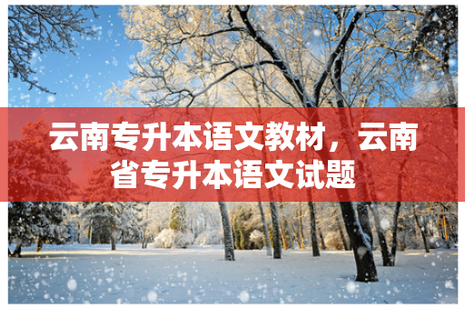 云南专升本语文教材，云南省专升本语文试题