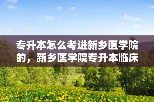 专升本怎么考进新乡医学院的，新乡医学院专升本临床医学