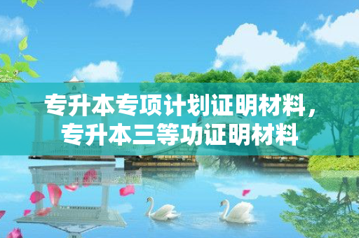 专升本专项计划证明材料，专升本三等功证明材料