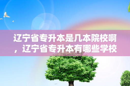 辽宁省专升本是几本院校啊，辽宁省专升本有哪些学校和专业