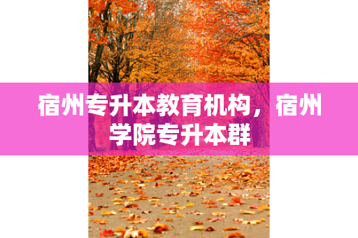 宿州专升本教育机构，宿州学院专升本群