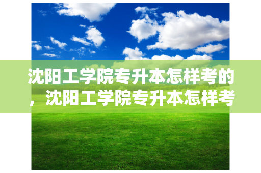 沈阳工学院专升本怎样考的，沈阳工学院专升本怎样考试