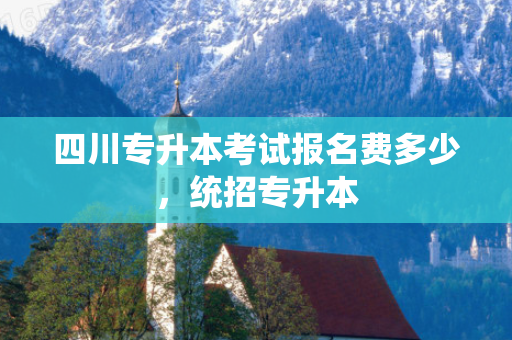 四川专升本考试报名费多少，统招专升本