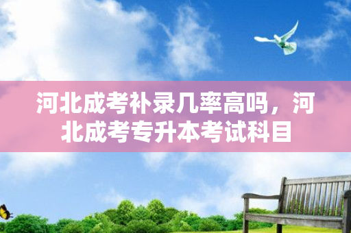 河北成考补录几率高吗，河北成考专升本考试科目