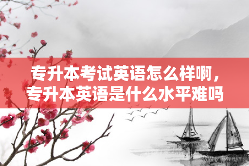 专升本考试英语怎么样啊，专升本英语是什么水平难吗