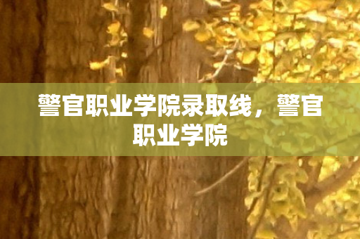 警官职业学院录取线，警官职业学院
