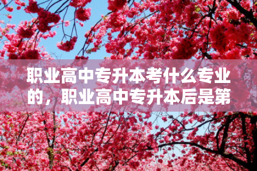 职业高中专升本考什么专业的，职业高中专升本后是第几学历