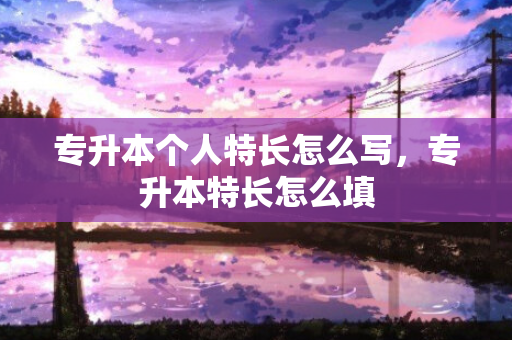 专升本个人特长怎么写，专升本特长怎么填