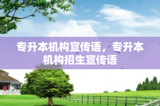 专升本机构宣传语，专升本机构招生宣传语