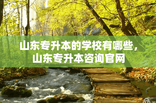 山东专升本的学校有哪些，山东专升本咨询官网