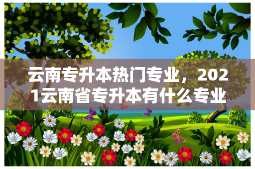 云南专升本热门专业，2021云南省专升本有什么专业