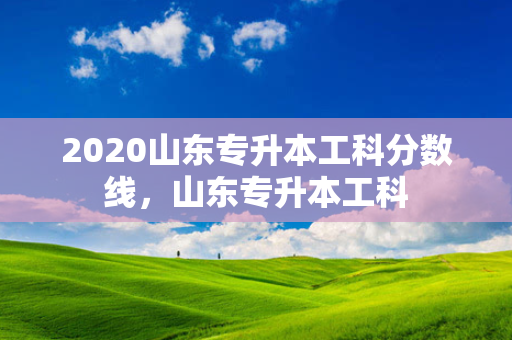 2020山东专升本工科分数线，山东专升本工科