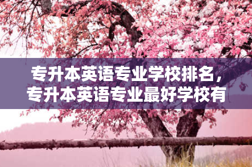 专升本英语专业学校排名，专升本英语专业好学校有哪些