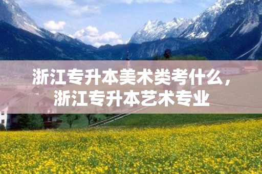 浙江专升本美术类考什么，浙江专升本艺术专业