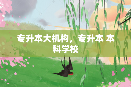 专升本大机构，专升本 本科学校