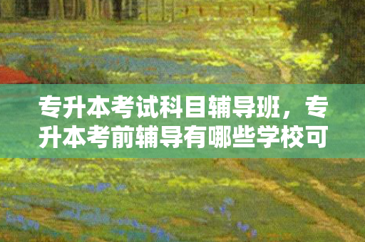 专升本考试科目辅导班，专升本考前辅导有哪些学校可以参加