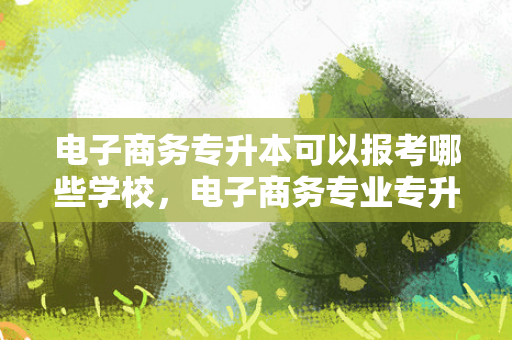 电子商务专升本可以报考哪些学校，电子商务专业专升本可以报哪些专业