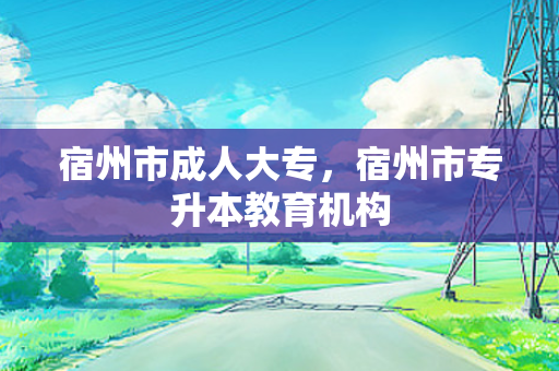 宿州市成人大专，宿州市专升本教育机构