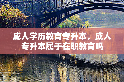 成人学历教育专升本，成人专升本属于在职教育吗