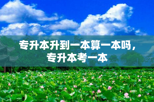 专升本升到一本算一本吗，专升本考一本