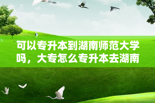 可以专升本到湖南师范大学吗，大专怎么专升本去湖南师范大学
