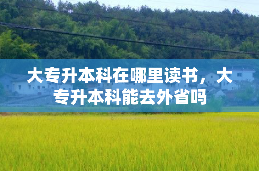 大专升本科在哪里读书，大专升本科能去外省吗
