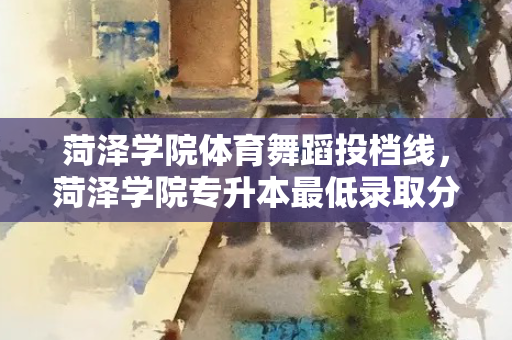 菏泽学院体育舞蹈投档线，菏泽学院专升本低录取分数线2021