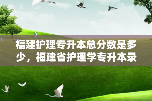 福建护理专升本总分数是多少，福建省护理学专升本录取率