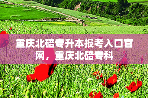 重庆北碚专升本报考入口官网，重庆北碚专科