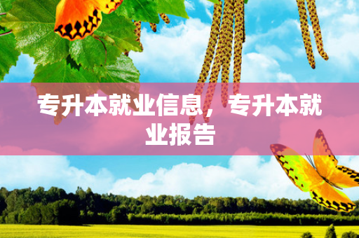 专升本就业信息，专升本就业报告