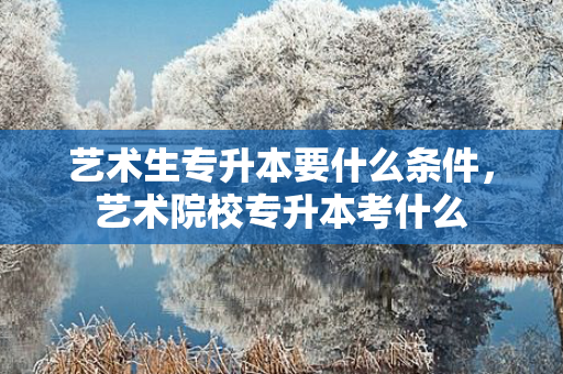 艺术生专升本要什么条件，艺术院校专升本考什么