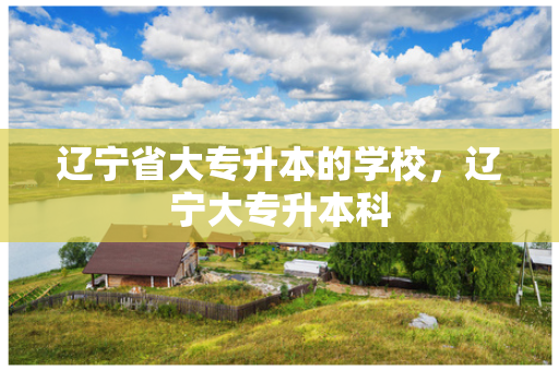 辽宁省大专升本的学校，辽宁大专升本科