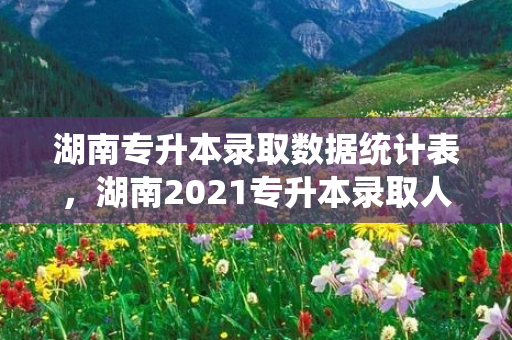 湖南专升本录取数据统计表，湖南2021专升本录取人数