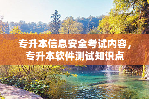 专升本信息安全考试内容，专升本软件测试知识点