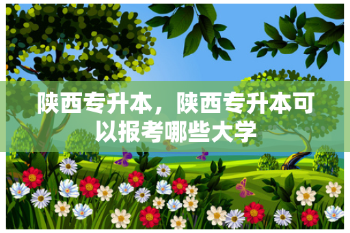 陕西专升本，陕西专升本可以报考哪些大学